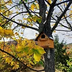 Hébergement de vacances Planinska Kuca Za Odmor Peric *