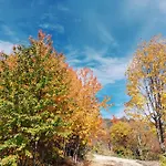 Hébergement de vacances Planinska Kuca Za Odmor Peric Prozor