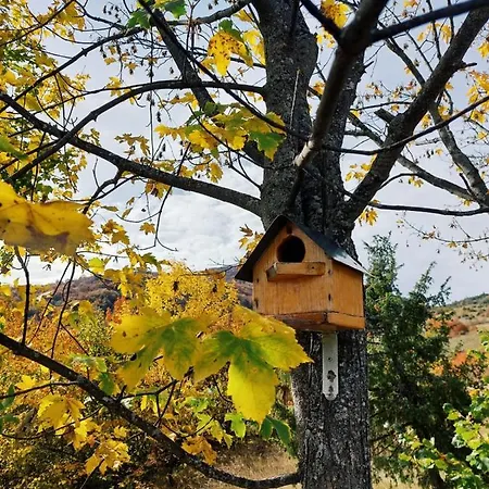 Feriehus Planinska Kuca Za Odmor Peric *