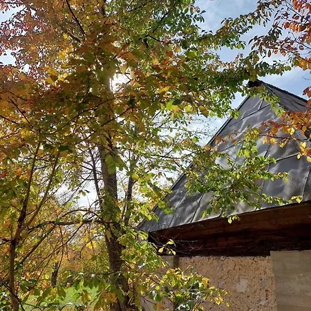 Feriehus Planinska Kuca Za Odmor Peric *