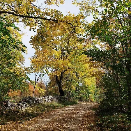 Feriehus Planinska Kuca Za Odmor Peric